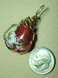 Pigeon Blood Jasper Pendant Wire Wrapped 14K/20 Gold Filled