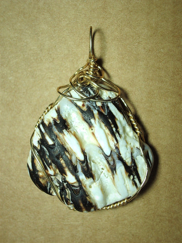 Weathered Murex Shell Pendant Wire Wrapped 14K Gold Filled - Jemel