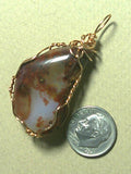 Agate Pendant Wire Wrapped Bronze
