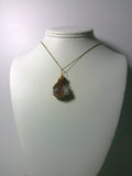 Crystal Lace Agate Pendant Wire Wrapped 14/20 Gold Filled Display - Jemel
