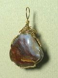 Lace Agate Pendant Wire Wrapped 14/20 Gold Filled