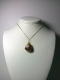 Lace Agate Pendant Wire Wrapped 14/20 Gold Filled  display - Jemel