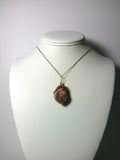 Orbicular Agate Pendant Wire Wrapped 14/20 Gold Filled display - Jemel