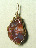 Orbicular Agate Pendant Wire Wrapped 14/20 Gold Filled - Jemel