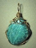 Amazonite Pendant Wire Wrapped 14/20 Gold Filled - Jemel