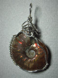 Iridescent Ammonite Fossil Pendant Wire Wrapped .925 Sterling Silver