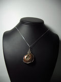 Iridescent Ammonite Pendant Wire Wrapped .925 Sterling Silver display - Jemel
