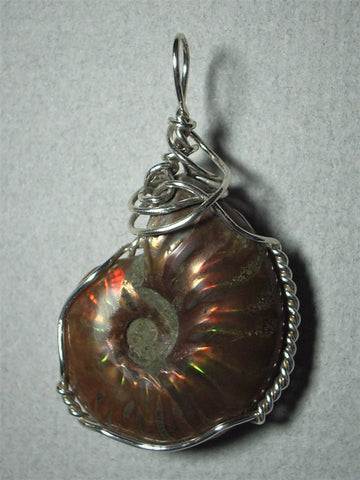 Iridescent Ammonite Pendant Wire Wrapped .925 Sterling Silver - Jemel