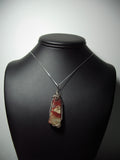 Coprolite Petrified Dinosaur Dung Pendant Wire Wrapped .925 Sterling Silver display - Jemel