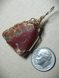 Coprolite Petrified Dinosaur Dung Pendant Wire Wrapped 14/20 Gold Filled