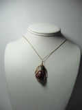 Banded Jasper Pendant Wire Wrapped 14/20 Gold Filled display - Jemel