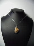 Picture Jasper Pendant Wire Wrapped .925 Sterling Silver display - Jemel
