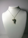 Shark Tooth Fossil Pendant Wire Wrapped .925 Sterling Silver display - Jemel