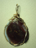 Fire Agate Pendant wire Wrapped 14/20 Gold Filled - Jemel