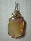 Golden Plume Agate Pendant Wire Wrapped 14k/20 Gold Filled