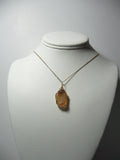 Golden Plume Agate Pendant Wire Wrapped 14/20 Gold Filled display - Jemel