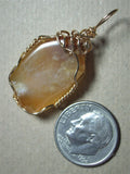 Golden Plume Agate Pendant Wire Wrapped 14k/20 Gold Filled