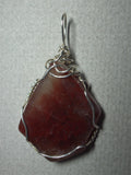 Coprolite Petrified Dinosaur Dung Pendant Wire Wrapped .925 Sterling Silver