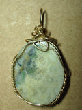 Fossil Coral Cabochon Pendant Wire Wrapped 14/20 Gold Filled - Jemel