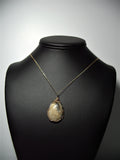Fossil Coral Cabochon Pendant Wire Wrapped 14/20 Gold Filled - Jemel