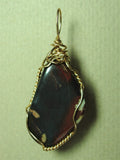 Jasper Pendant Wire Wrapped 14k/20 Gold Filled