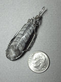 Orthoceras Fossil Pendant Wire Wrapped .925 Sterling Silver - Jemel