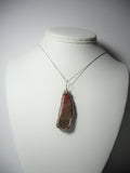 Petrified Wood Pendant Wire Wrapped .925 Sterling Silver display - Jemel