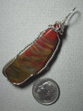 Petrified Wood Fossil Pendant Wire Wrapped .925 Sterling Silver