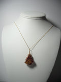 Petrified Wood Pendant Wire Wrapped 14/20 gold Filled display - Jemel