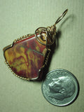 Petrified Wood Fossil Pendant Wire Wrapped 14/20 Gold Filled