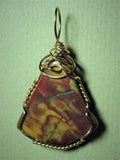 Petrified Wood Pendant Wire Wrapped 14/20 gold Filled- Jemel