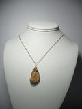 Picture Jasper Stone Pendant Wire Wrapped 14/20 Gold Filled - Jemel