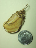 Picture Jasper Stone Pendant Wire Wrapped 14/20 Gold Filled - Jemel