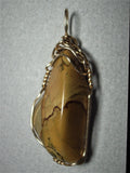 Owyhee Picture Jasper Stone Pendant Wire Wrapped 14k/20 Gold Filled - Jemel