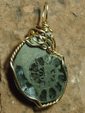 Pyrite Ammonite Fossil Pendant Wire Wrapped 14/20 Gold Filled - Jemel