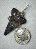 Shark Tooth Fossil Pendant Wire Wrapped .925 Sterling Silver