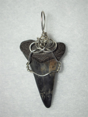 Shark Tooth Fossil Pendant Wire Wrapped .925 Sterling Silver - Jemel
