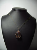Tiger Iron Pendant Wire Wrapped 14/20 Gold Filled display - Jemel